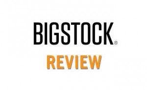 bigstock review
